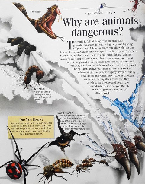 Time Warner Discoveries Library Dangerous Animals – Books and You