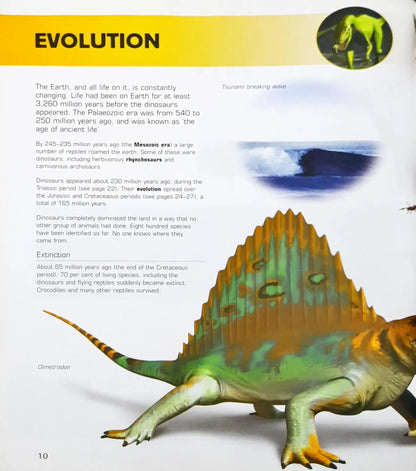 Dinosaurs Encyclopedia (HC) (P)