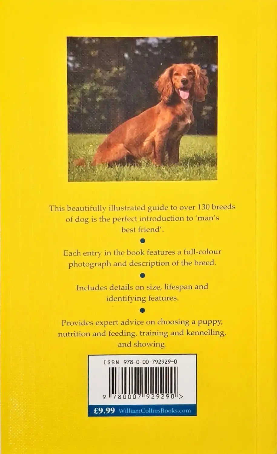 Dog Breeds of the World
