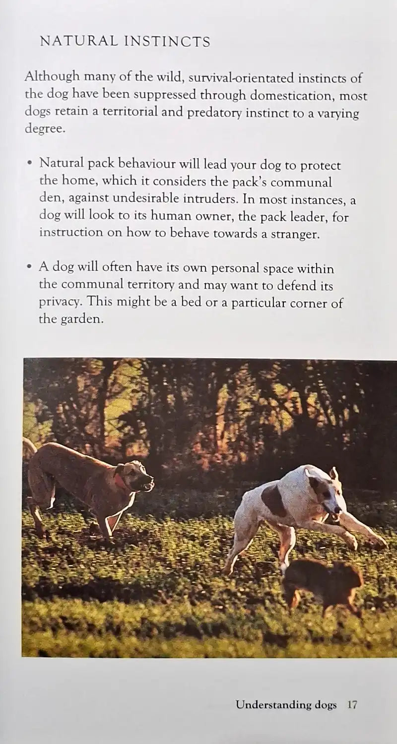 Dog Breeds of the World