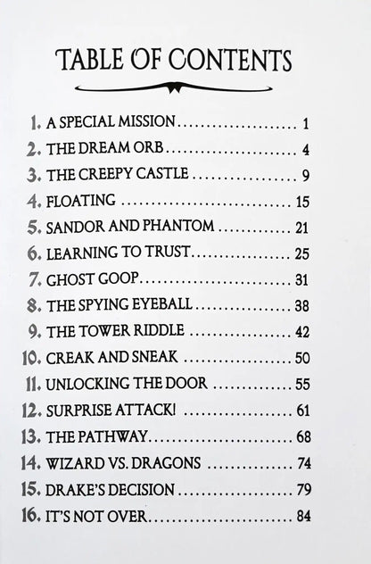 Dragon Masters #27 : Haunting of the Ghost Dragon (A Branches Book)