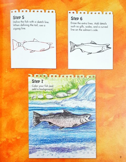 Simple Fish Drawing Using Shapes Drawing And Learning About Fish Using Shapes And Lines – Books and You