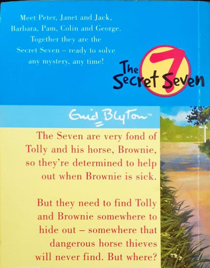 The Secret Seven Fun For the Secret Seven #15 (P)