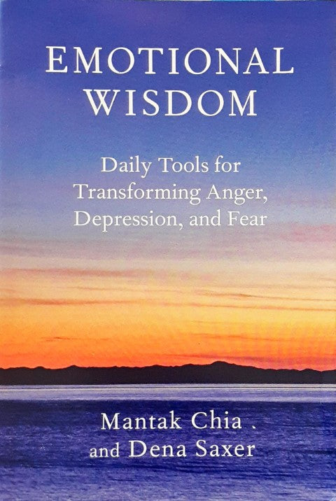 Emotional Wisdom Daily Tools for Transforming Anger Depression and Fear