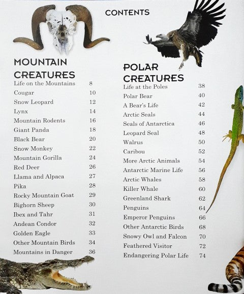 Encyclopedia of Animals A Complete Pictorial Guide to Animals – Books ...