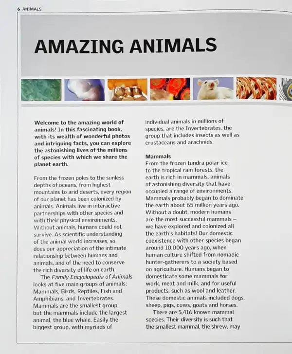 Encyclopedia of Animals - a Family Reference Guide