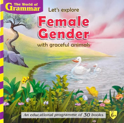 The World Of Grammar Let's Explore Female Gender