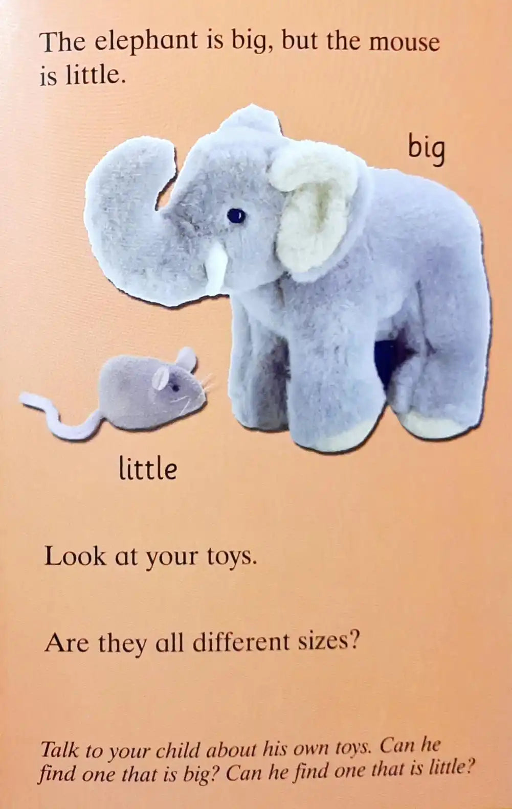 First Skills with Ladybird : Big and Little