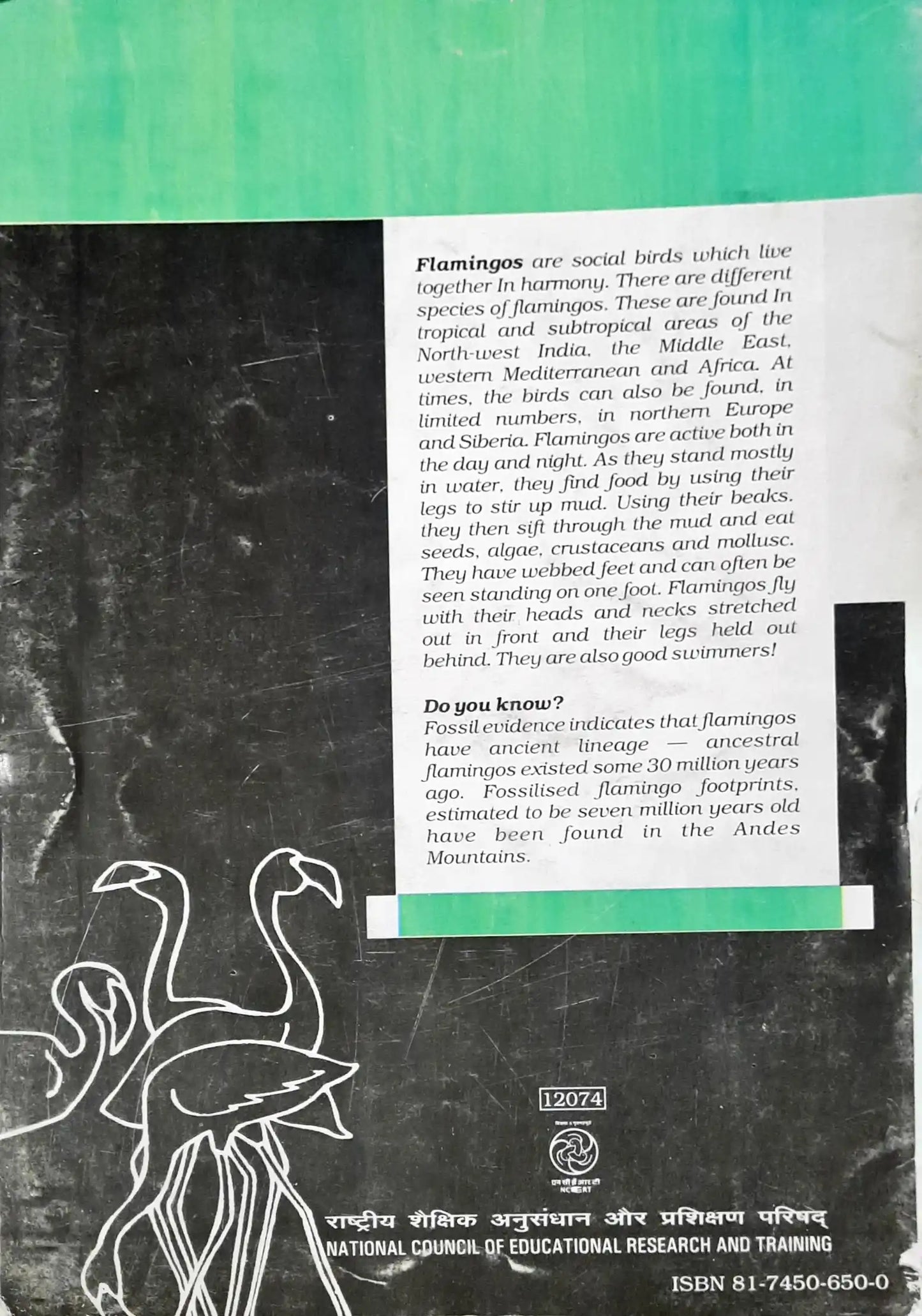 NCERT English Grade 12 : Flamingo & Vistas (2 books)