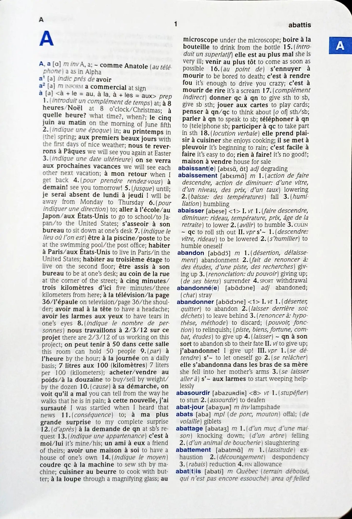 Barron's French-English Dictionary