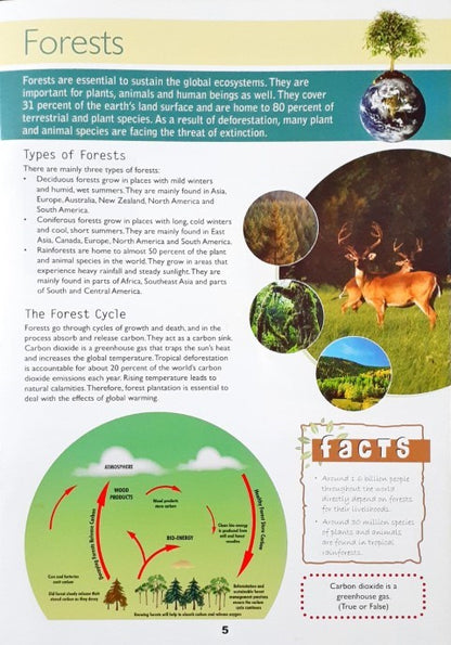 Deforestation & Desertification - Global Warming Facts & More