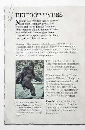 Graphic Mysteries Bigfoot and Other Strange Beasts