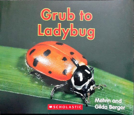 Grub to Ladybug