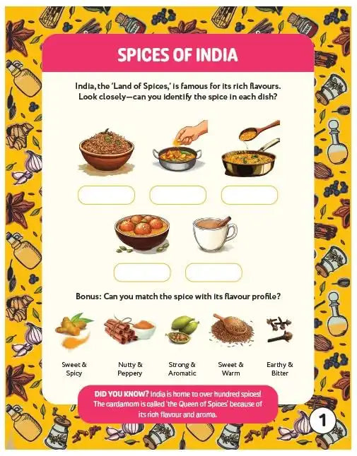 Hello India! Fun India Activity Book : Food And Culture