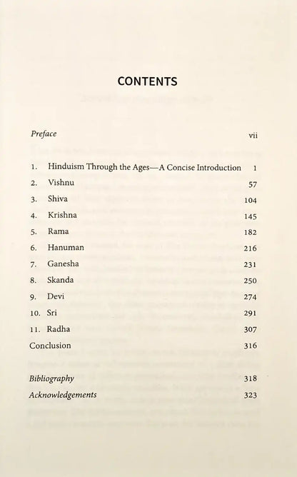 Hindu Gods : A History
