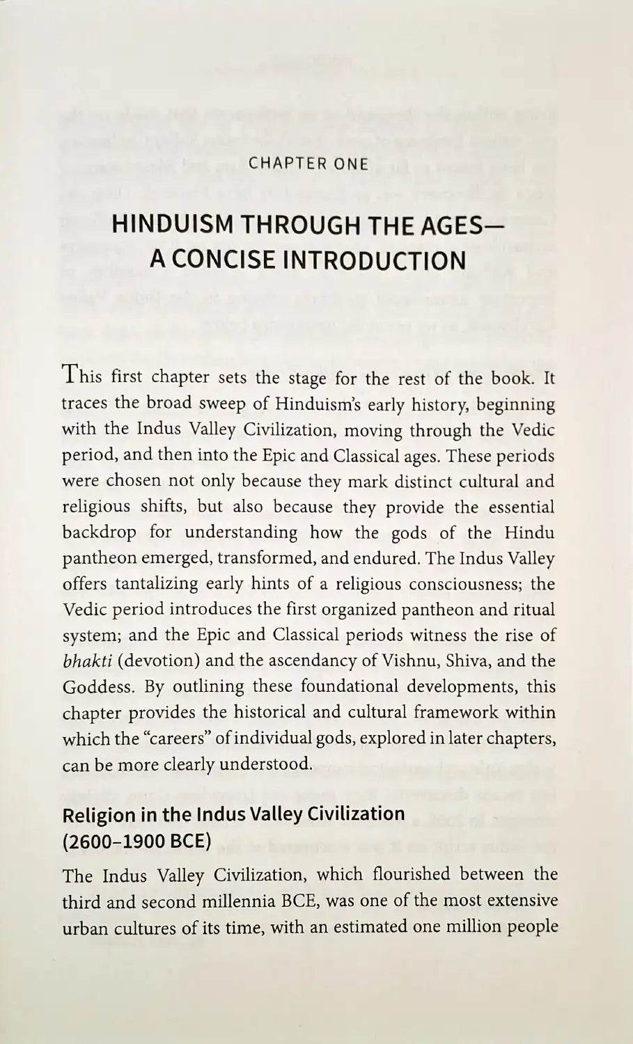 Hindu Gods : A History