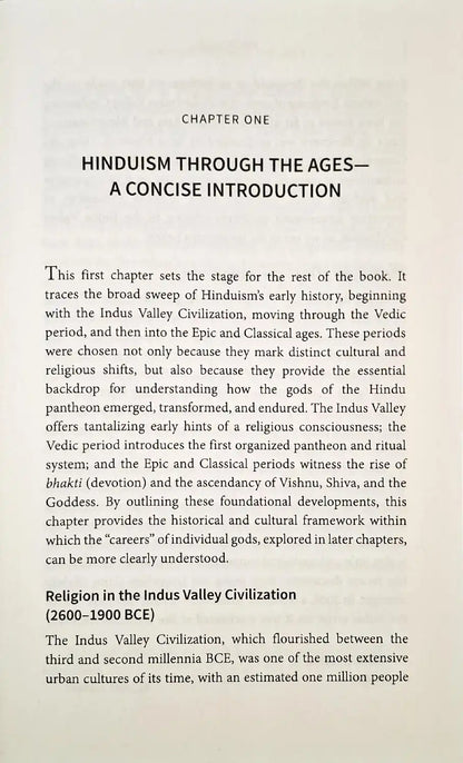Hindu Gods : A History