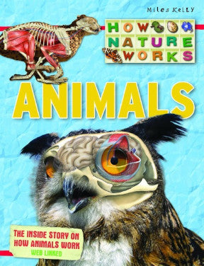 Discover Nature Pack How Nature Works Set of 4 Books