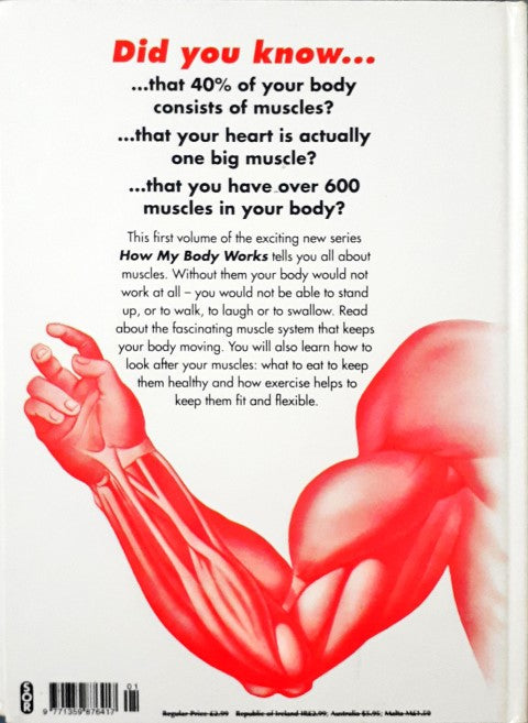 How My Body Works The Muscles