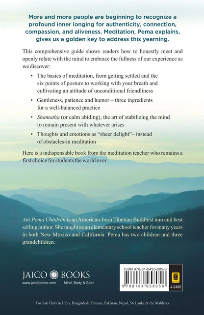 How To Meditate