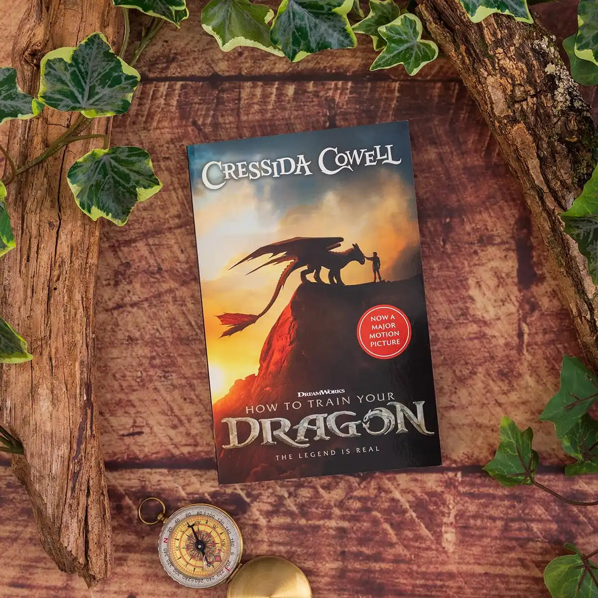 How to Train Your Dragon | Film Tie in Edition
