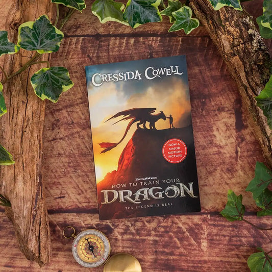 How to Train Your Dragon | Film Tie in Edition