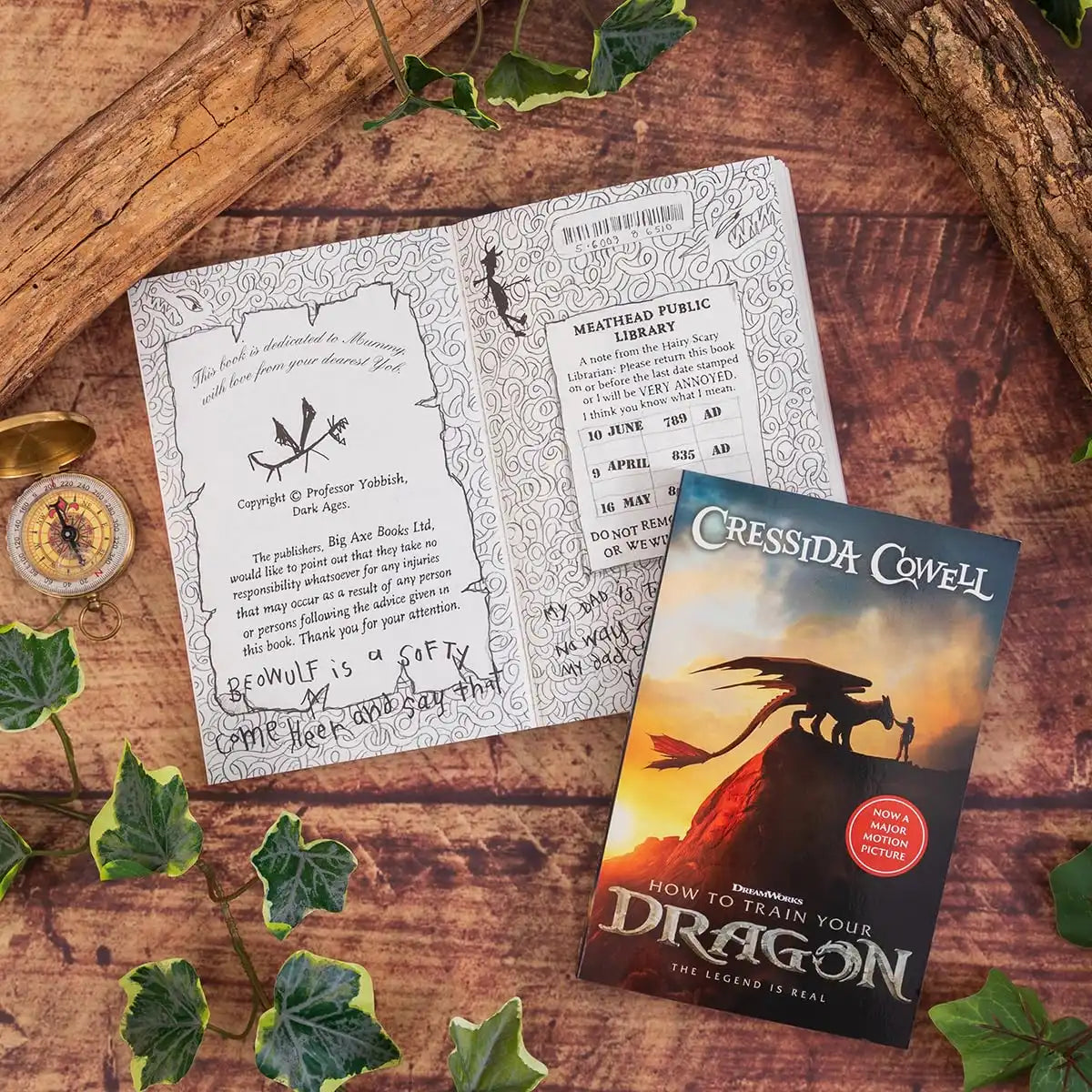 How to Train Your Dragon | Film Tie in Edition