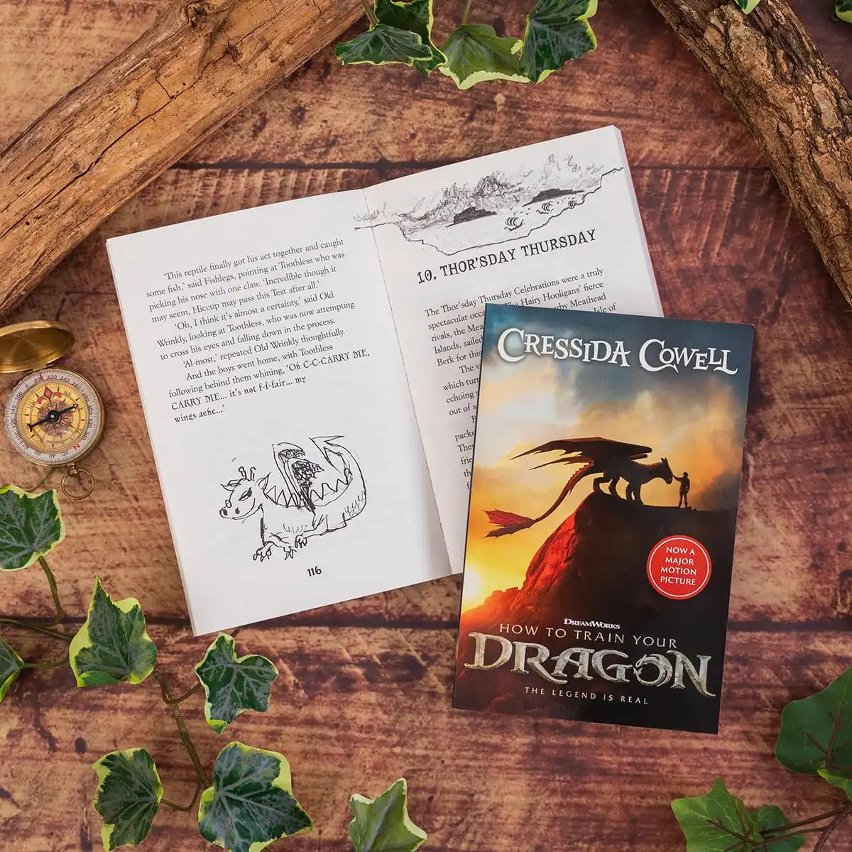 How to Train Your Dragon | Film Tie in Edition