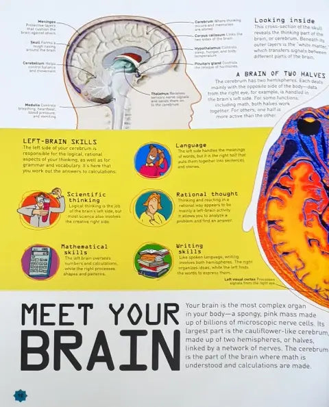 How to Be a Math Genius: Your Brilliant Brain and How to Train It ...