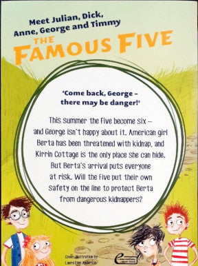 Five Have Plenty Of Fun: The Famous Five #14