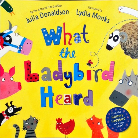 What the Ladybird Heard - Glitter Book