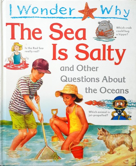 I Wonder Why The Sea Is Salty And Other Questions About The Oceans