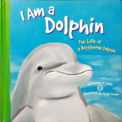 I Live In The Ocean I Am A Dolphin The Life Of A Bottlnose Dolphin