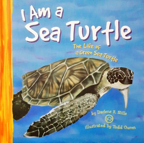 I Live In The Ocean I Am A Sea Turtle The Life Of A Green Sea Turtle