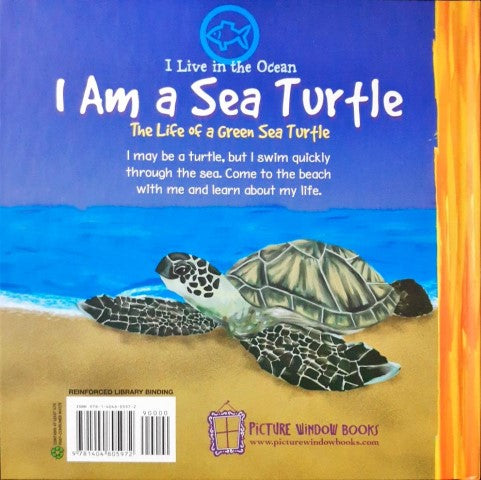 I Live In The Ocean I Am A Sea Turtle The Life Of A Green Sea Turtle
