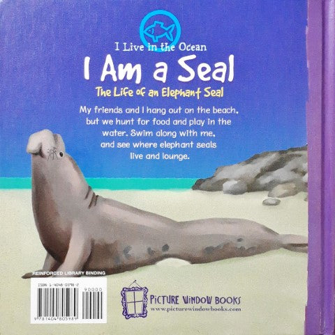 I Live In The Ocean I Am A Seal The Life Of An Elephant Seal
