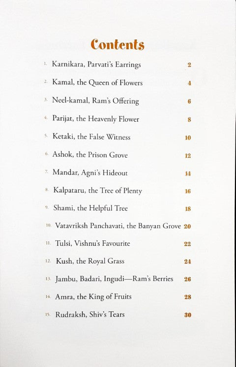 Karnikara Parvati's Earrings And Other Stories - Indian Mythology