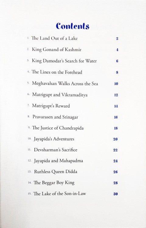 The Beggar Boy King And Other Stories - Indian Mythology