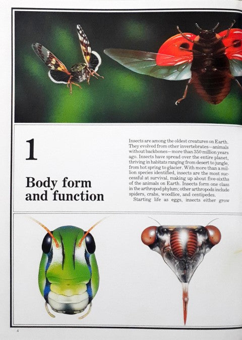 Time Life's Illustrated World of Science Insect Life