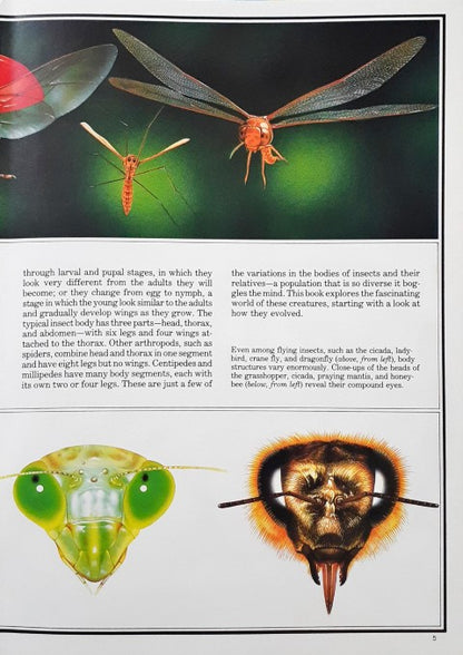 Time Life's Illustrated World of Science Insect Life