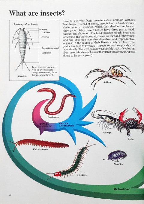 Time Life's Illustrated World of Science Insect Life