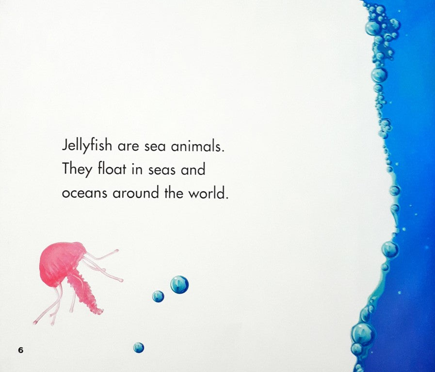 Sea Life Jellyfish