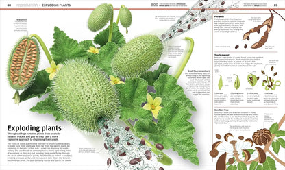 Knowledge Encyclopedia : Plants And Fungi! | Hardcover
