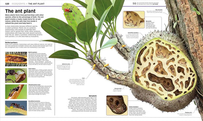Knowledge Encyclopedia : Plants And Fungi! | Hardcover
