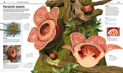 Knowledge Encyclopedia : Plants And Fungi! | Hardcover