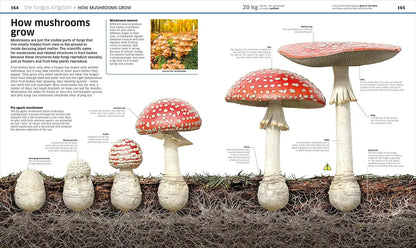 Knowledge Encyclopedia : Plants And Fungi! | Hardcover