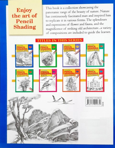 Learn Pencil Shading Landscapes