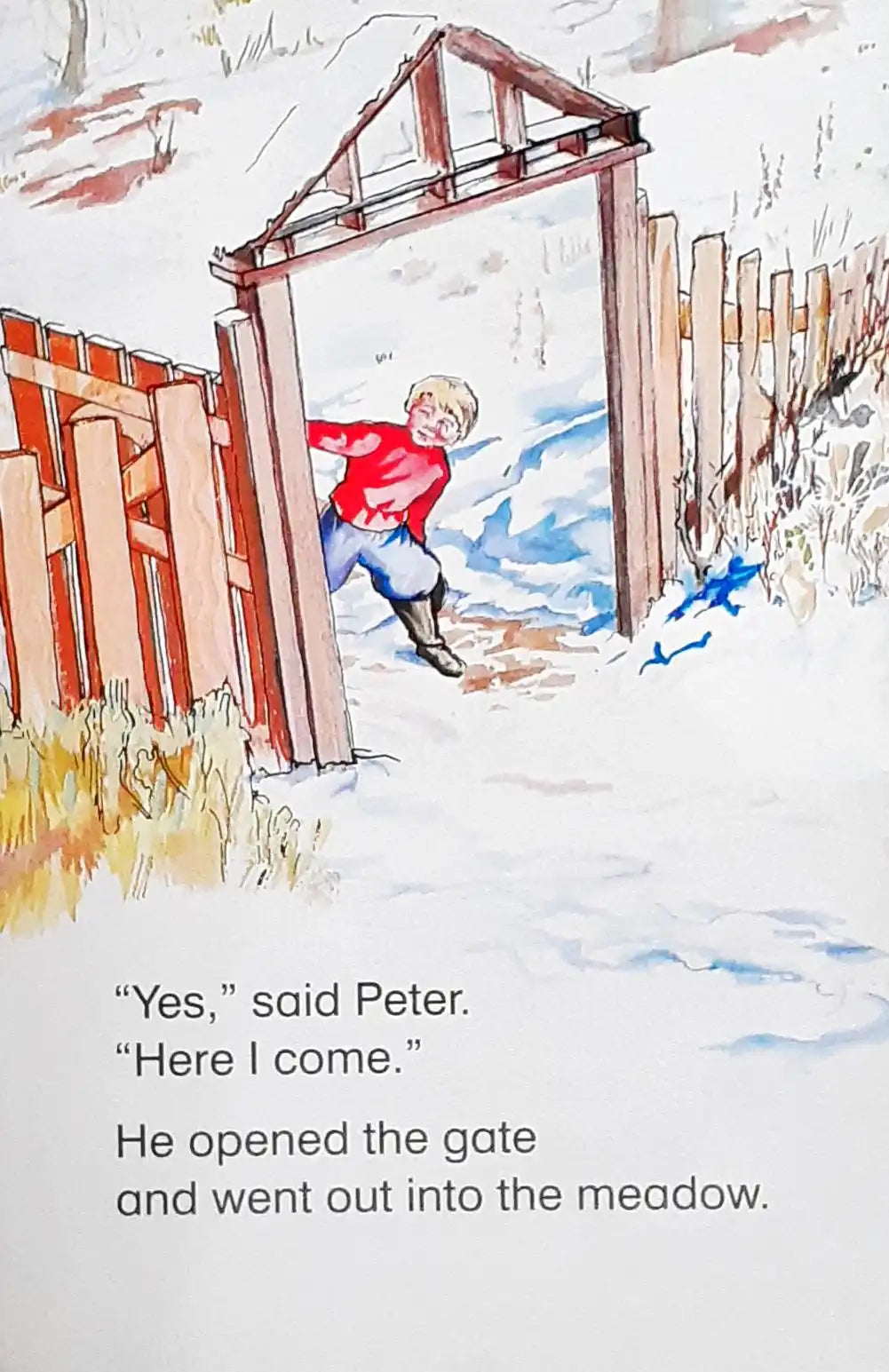 Read It Yourself With Ladybird Level 4 Peter And The Wolf (P)