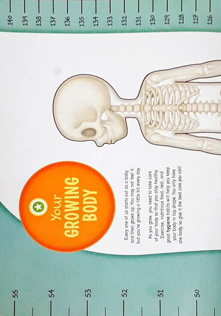 Your Growing Body Height Chart (P) – Books and You