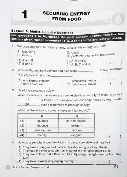 SAP Learning Science For Upper Block 5/6: Energy & Interactions